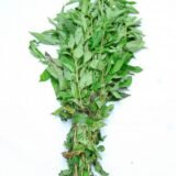 Feuille de Kplala (Botte)